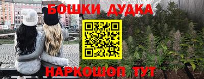 jwh Новокубанск
